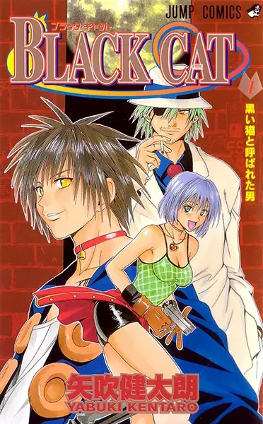 Black Cat (es) Cover Image